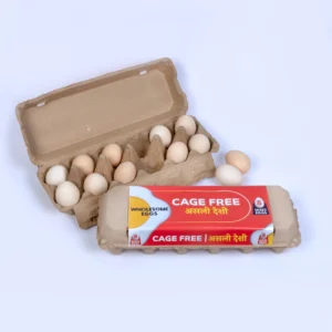 Cage Free Eggs - 8 pcs