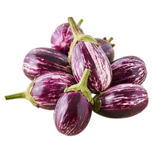 Brinjal Purple Round/ जांभळी वांगी